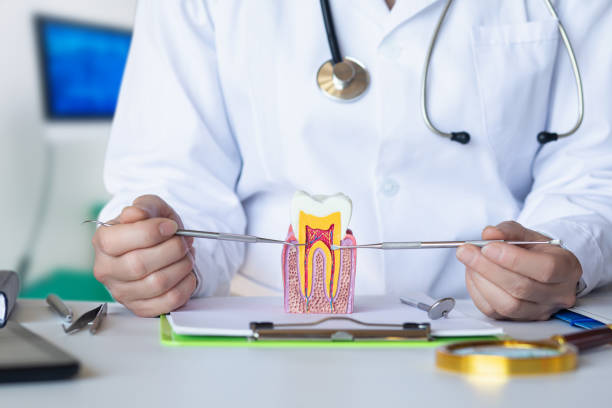 Best Urgent Tooth Repair  in Trooper, PA